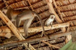 reportage kenia 25 Ritratto di Famiglia in spiaggia